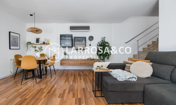 Resale - Detached House/Villa - Los Montesinos - La Herrada