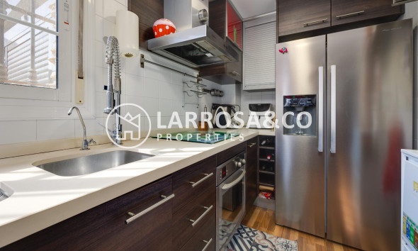 Resale - Detached House/Villa - Los Montesinos - La Herrada