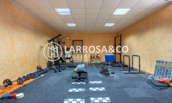 Resale - Detached House/Villa - Los Montesinos - Costa Blanca