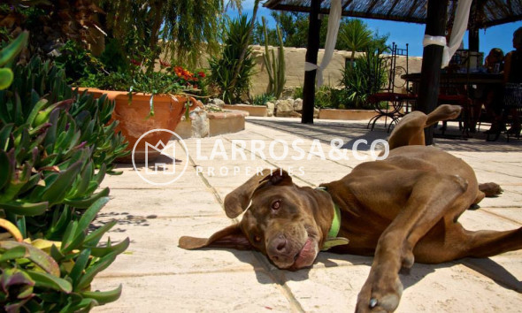 Resale - Country house - Benissa - Costa Blanca