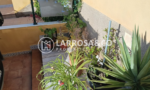 Resale - Apartment - Los Montesinos - Costa Blanca