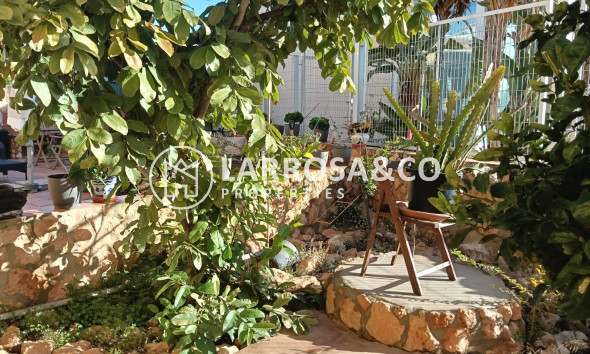 Resale - Apartment - Los Montesinos - Costa Blanca