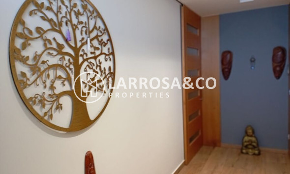 Resale - Detached House/Villa - Daya Nueva - Costa Blanca