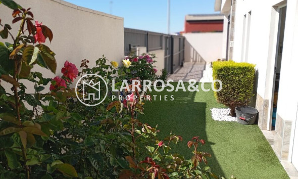 Resale - Detached House/Villa - Daya Nueva - Costa Blanca