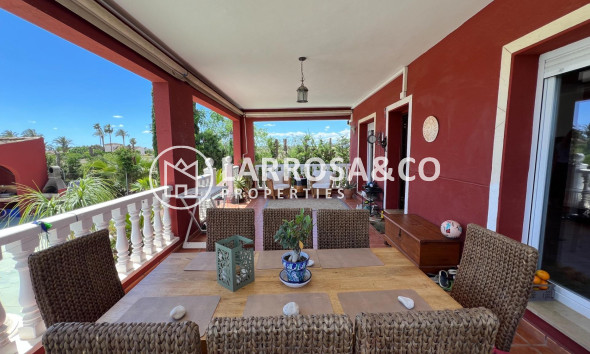 Reventa - Casa de campo - Dolores - Comunidad valenciana
