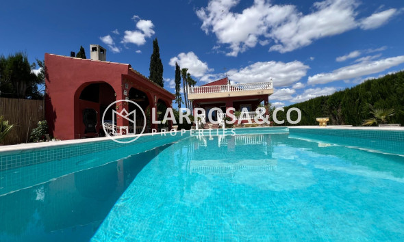 Reventa - Casa de campo - Dolores - Comunidad valenciana