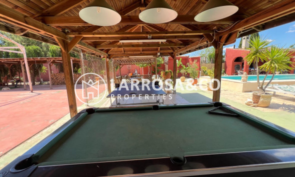 Reventa - Casa de campo - Dolores - Comunidad valenciana