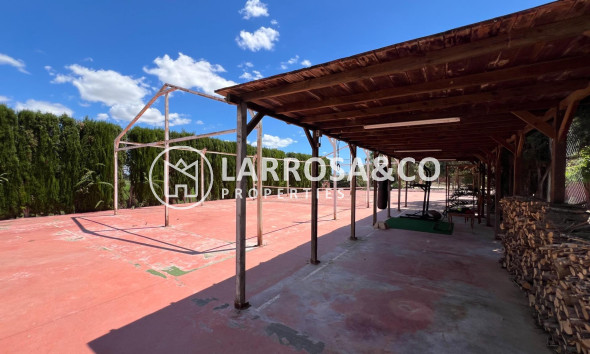Reventa - Casa de campo - Dolores - Comunidad valenciana