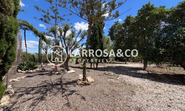 Reventa - Casa de campo - Dolores - Comunidad valenciana