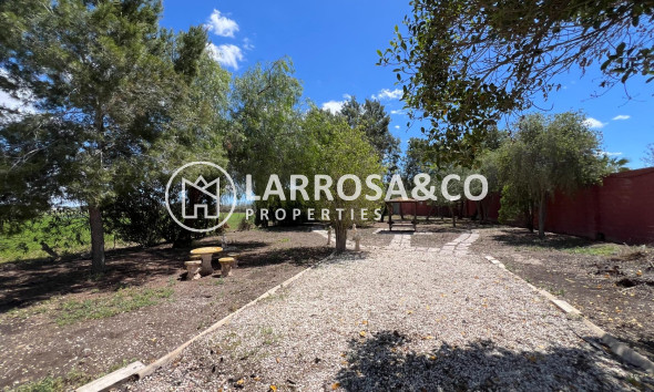 Reventa - Casa de campo - Dolores - Comunidad valenciana