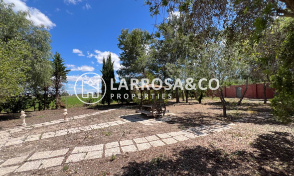 Reventa - Casa de campo - Dolores - Comunidad valenciana