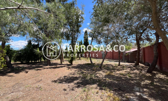 Reventa - Casa de campo - Dolores - Comunidad valenciana