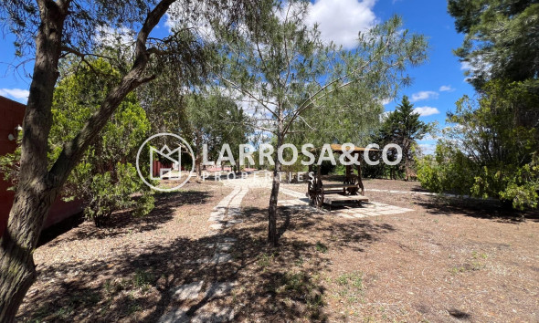 Reventa - Casa de campo - Dolores - Comunidad valenciana