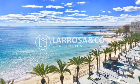 New build - Detached House/Villa - Torrevieja - Lago Jardín II