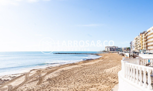 New build - Detached House/Villa - Torrevieja - Lago Jardín II
