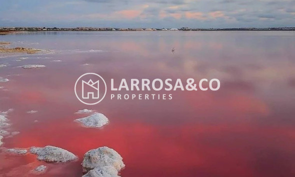 New build - Detached House/Villa - Torrevieja - Lago Jardín II