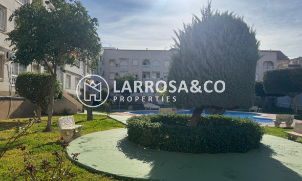 Resale - Apartment - Torrevieja - Playa del Acequión