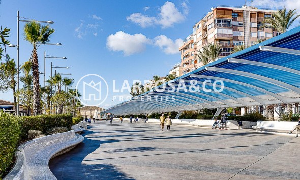 Resale - Apartment - Torrevieja - Parque de las Naciones