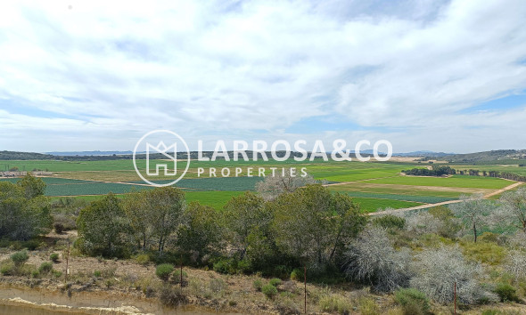Resale - Detached House/Villa - Algorfa - Inland