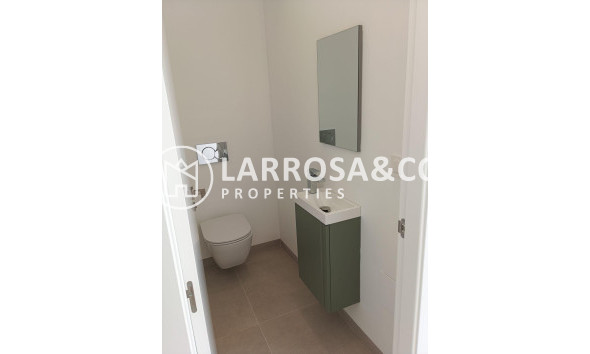 Nouvelle Construction - Villa - Pilar de la Horadada - Roda Golf