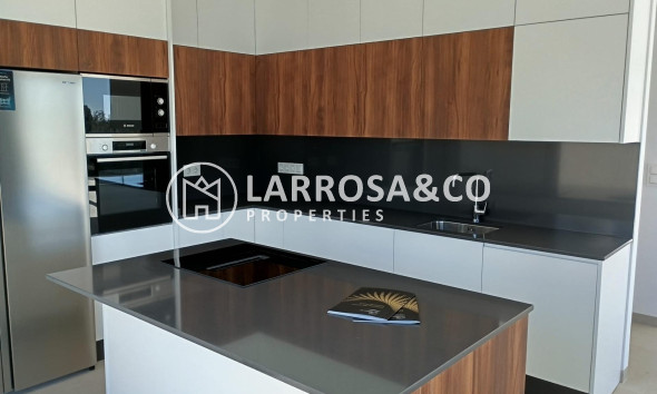 Nouvelle Construction - Villa - Pilar de la Horadada - Roda Golf