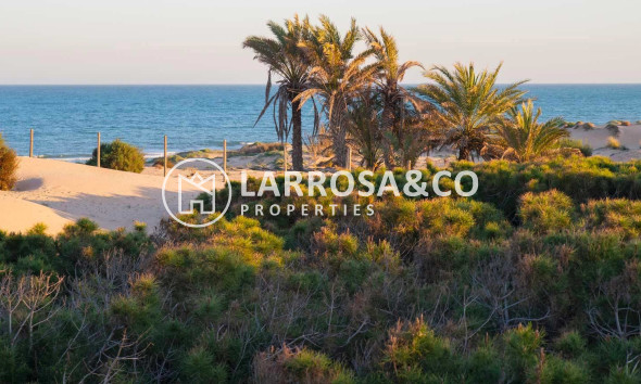 Вторичный рынок - Квартира - Гуардамар дель Сегура - Costa Blanca