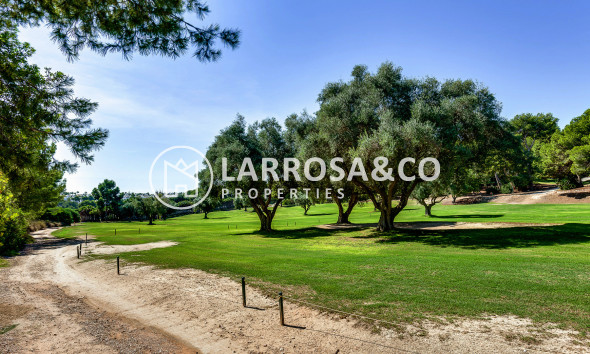 Reventa - Chalet - Villamartin - Costa Blanca