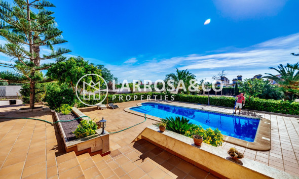 Resale - Detached House/Villa - Los Montesinos - Montesinos  Los
