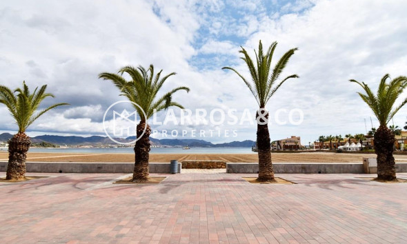 Obra Nueva - Atico - Puerto de Mazarrón - Playa del Puerto