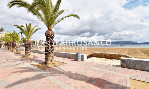 Obra Nueva - Apartamento - Puerto de Mazarrón - Playa del Puerto