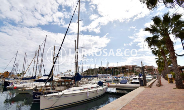 Obra Nueva - Apartamento - Puerto de Mazarrón - Playa del Puerto