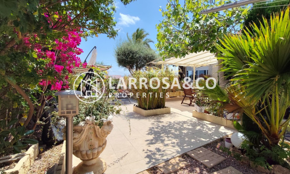 Herverkoop - Villa - Ciudad Quesada - Costa Blanca