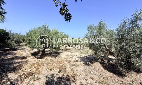Вторичный рынок - Загородный дом - Ла Марина - Costa Blanca