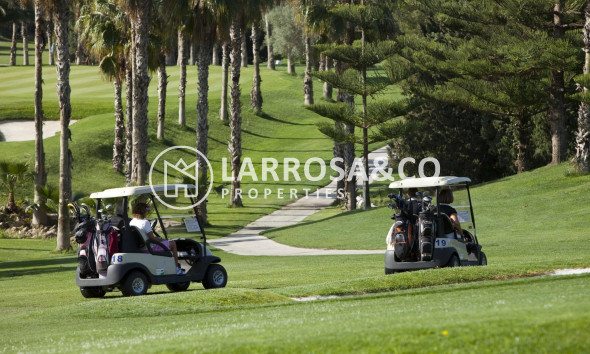 New build - Apartment - Orihuela costa - Lomas de Campoamor