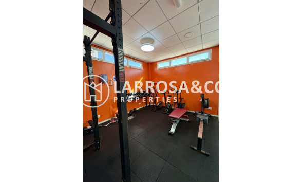 Resale - Apartment - Guardamar del Segura - Costa Blanca