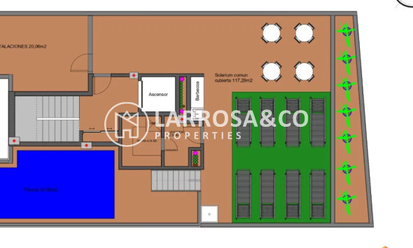 Obra Nueva - Apartamento - Torrevieja - PLAYA LOS LOCOS