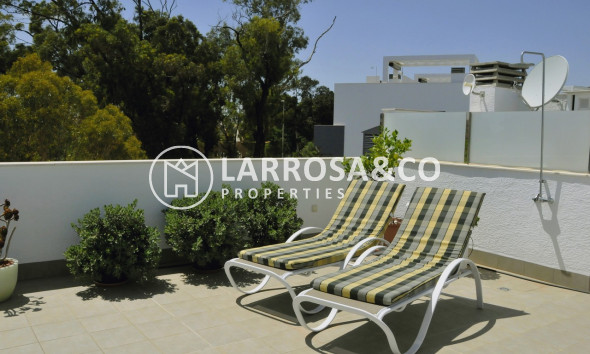 Herverkoop - Penthouse  - Guardamar del Segura - Costa Blanca