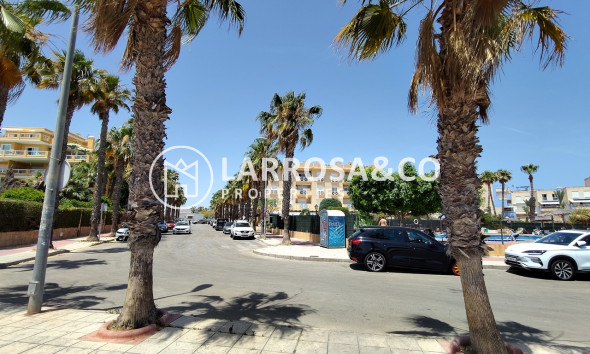 Вторичный рынок - Квартира - Cabo Roig - Costa blanca