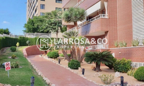 Resale - Penthouse  - Villajoyosa - Cala Villajoyosa