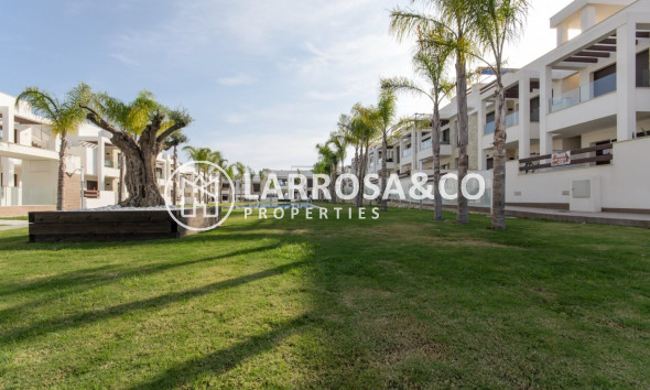 New build - Bungalow - Torrevieja - Los Balcones