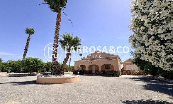 Herverkoop - Country house - Dolores - Costa Blanca