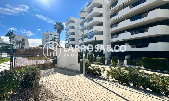 Resale - Apartment - Santa Pola - Costa Blanca