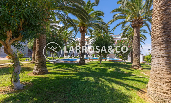 Herverkoop - Apartment - La Mata - Costa Blanca