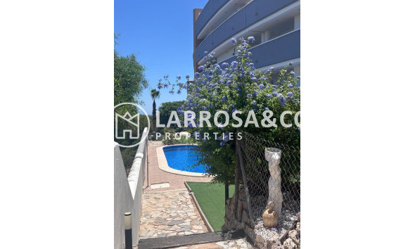 Herverkoop - Apartment - Villamartin - Costa Blanca