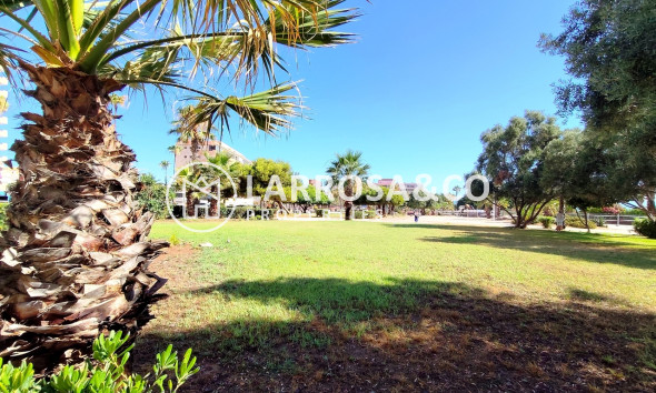 Herverkoop - Apartment - La Mata - Costa Blanca