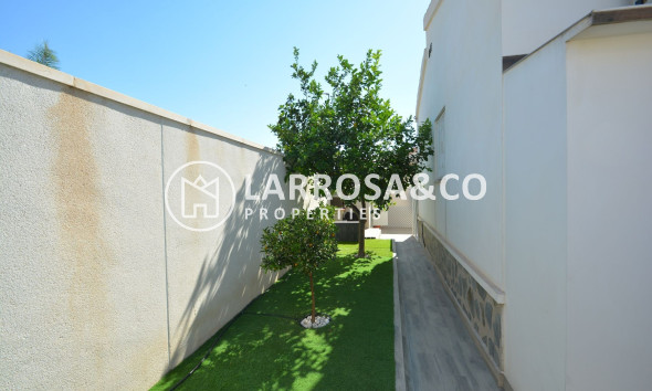 Resale - Detached House/Villa - Ciudad Quesada - Lo pepin