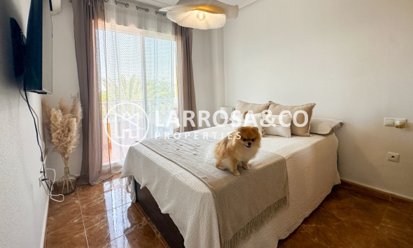 Resale - Apartment - Guardamar del Segura - Costa Blanca