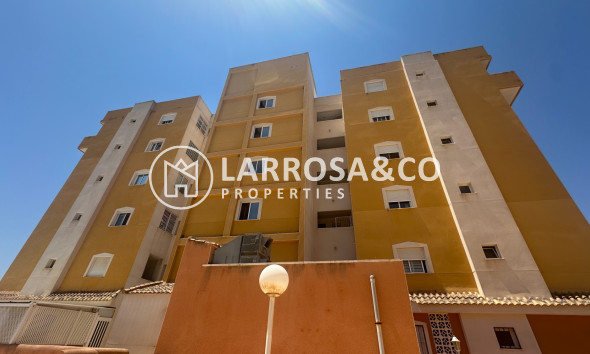 Resale - Apartment - Guardamar del Segura - Costa Blanca