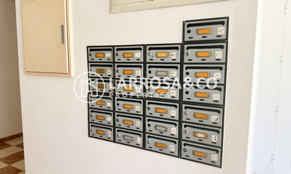 Resale - Apartment - Guardamar del Segura - Costa Blanca