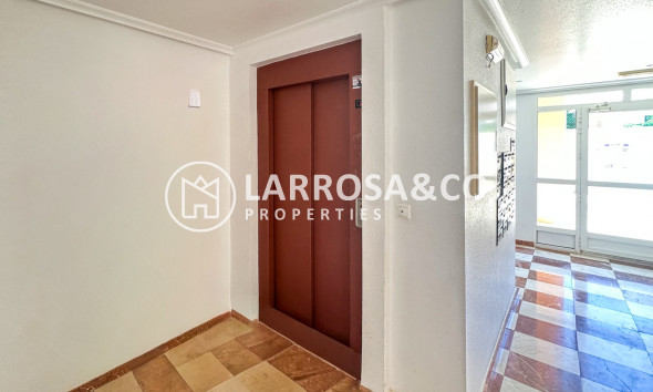 Resale - Apartment - Guardamar del Segura - Costa Blanca